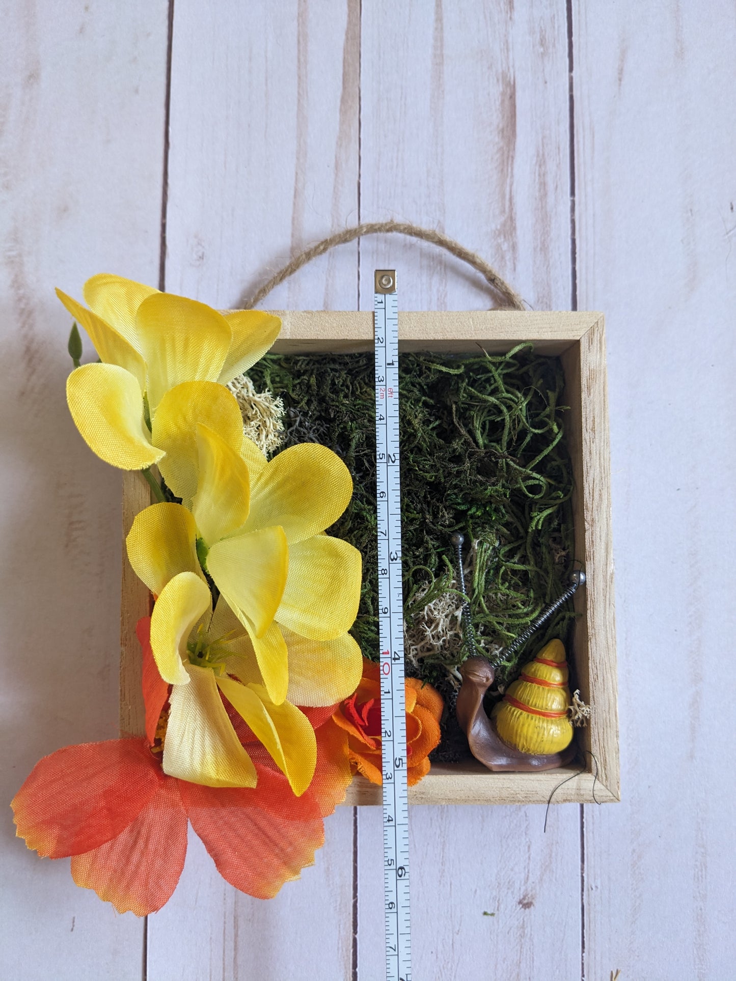 Hanging Mini Snail Garden