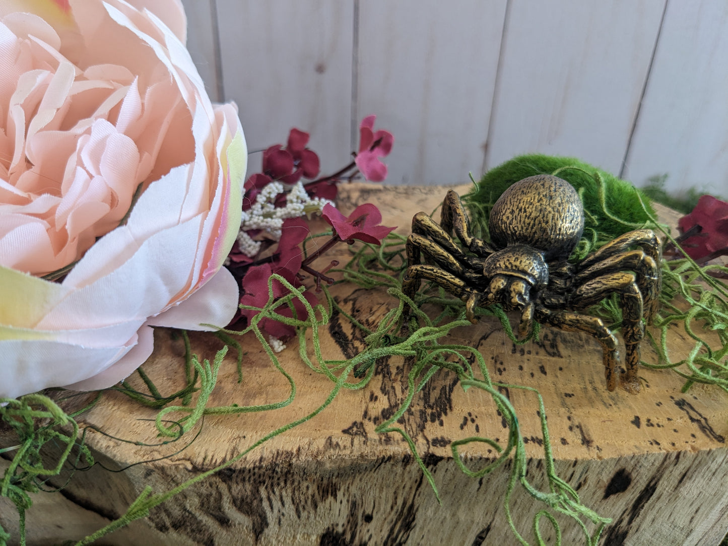 Tarantula Garden