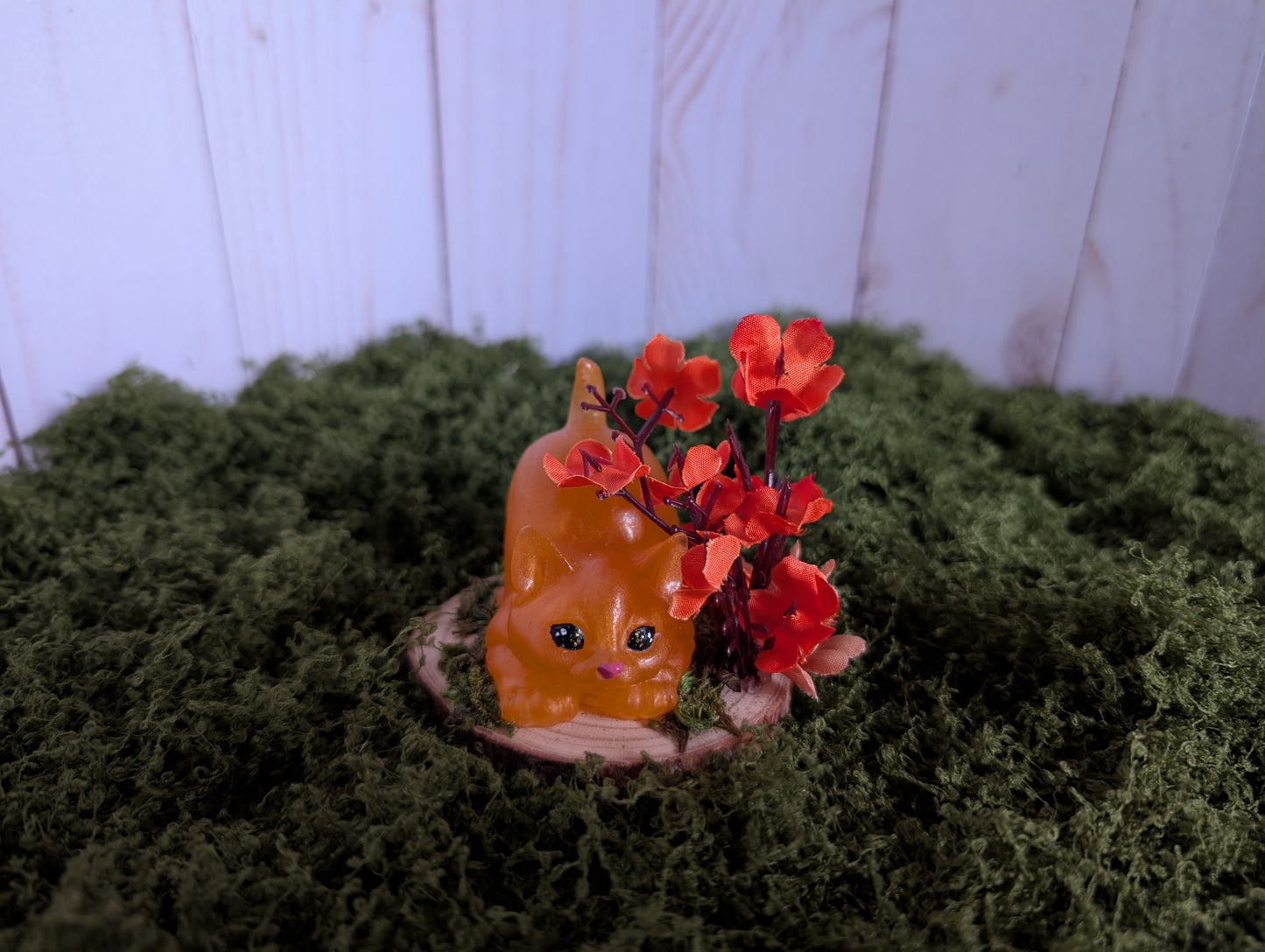 Playful Ginger Kitten