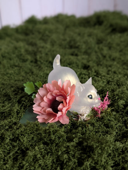 Playful White Kitten