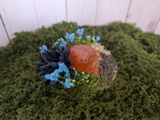 Small Bronze Toad Garden