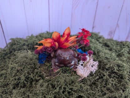 Small Brown Toad Garden