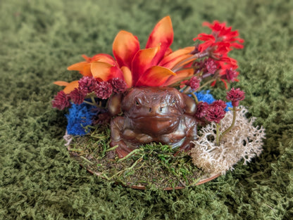 Small Brown Toad Garden