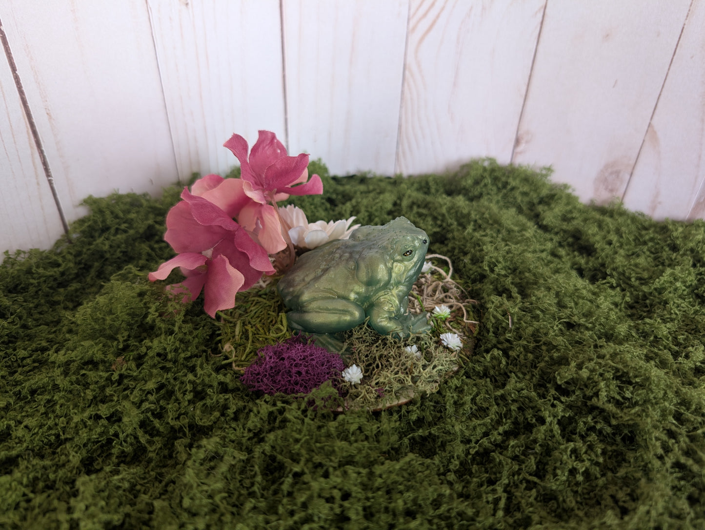 Small Green Toad Garden