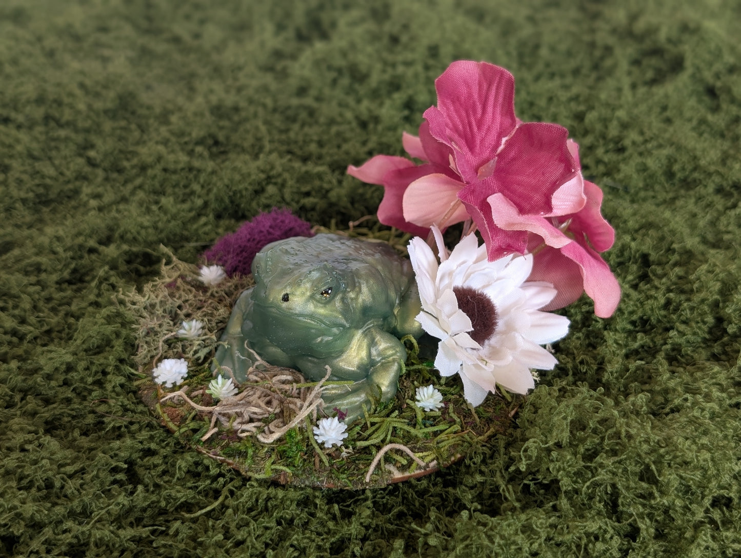 Small Green Toad Garden