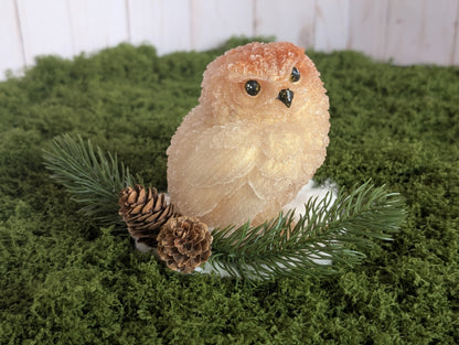 Winter Owl