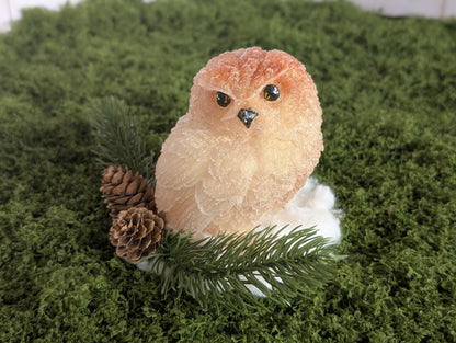 Winter Owl