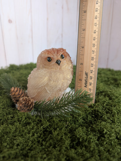 Winter Owl